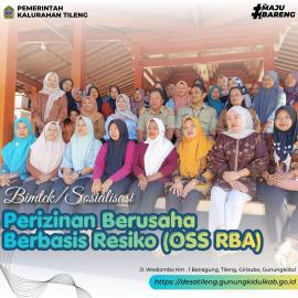 DPMPTSP Kabupaten Gunungkidul Gelar Sosialisasi OSS RBA bagi Pelaku Usaha di Kalurahan Tileng